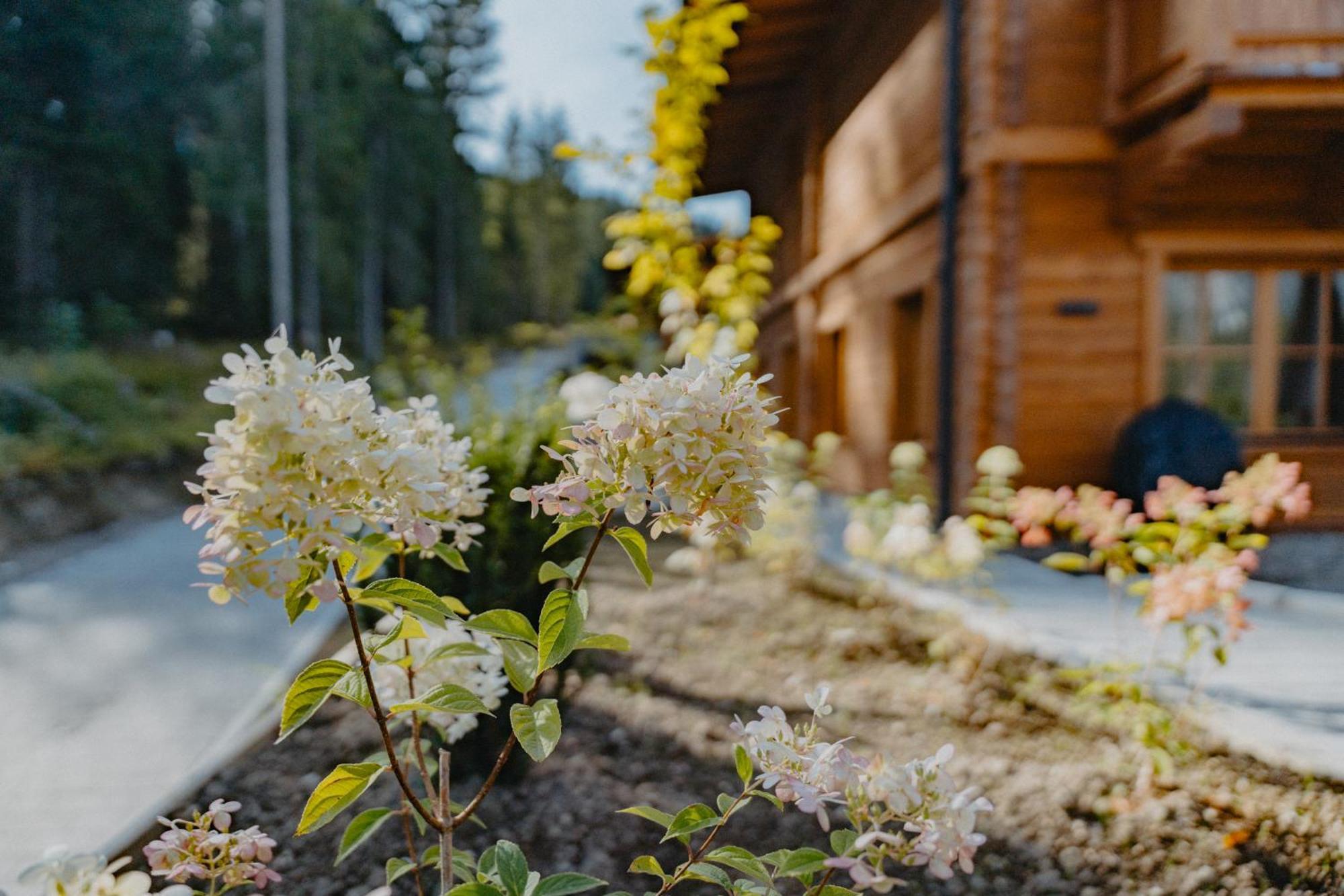 Sissi'S Green Chalets ロイタシュ エクステリア 写真