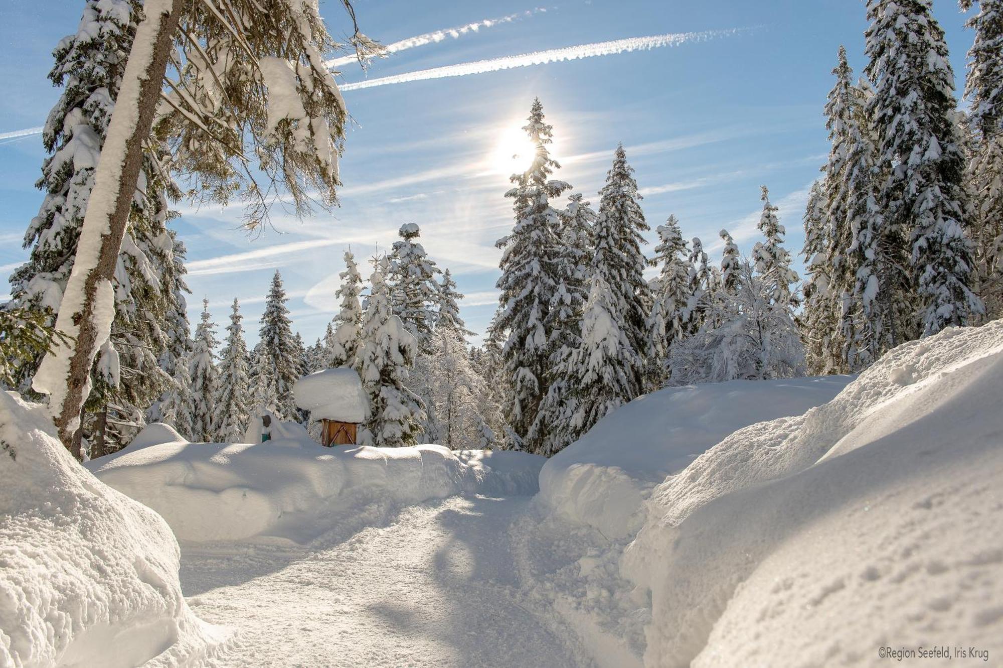 Sissi'S Green Chalets ロイタシュ エクステリア 写真
